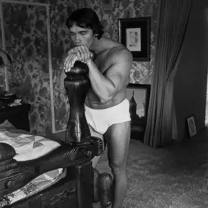Arnold Schwarzenegger bulge in underwear