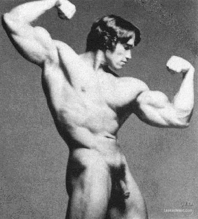 Arnold Schwarzenegger Nude Pics.