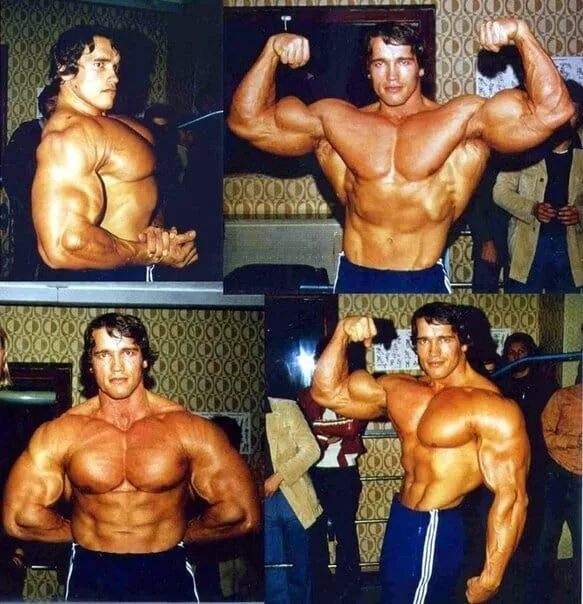 Arnold Schwarzenegger porn pic
