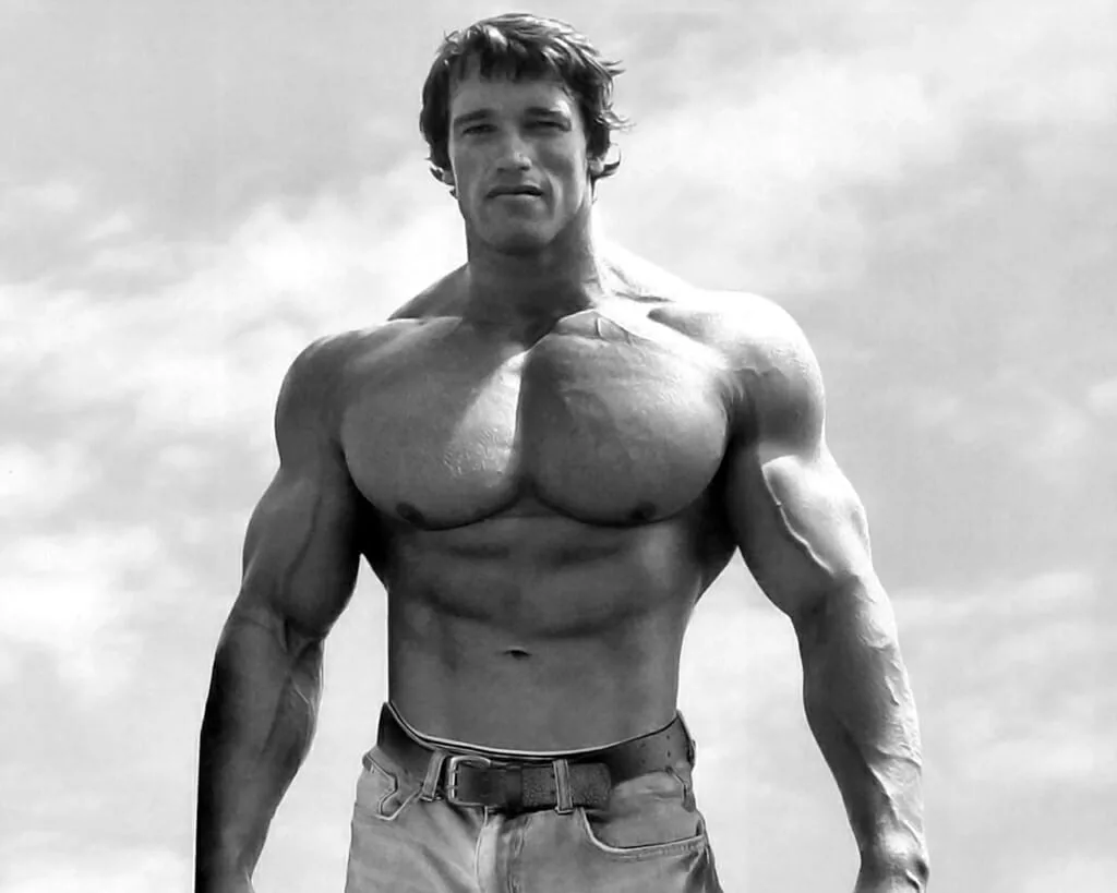 Arnold Schwarzenegger sexy huge chest