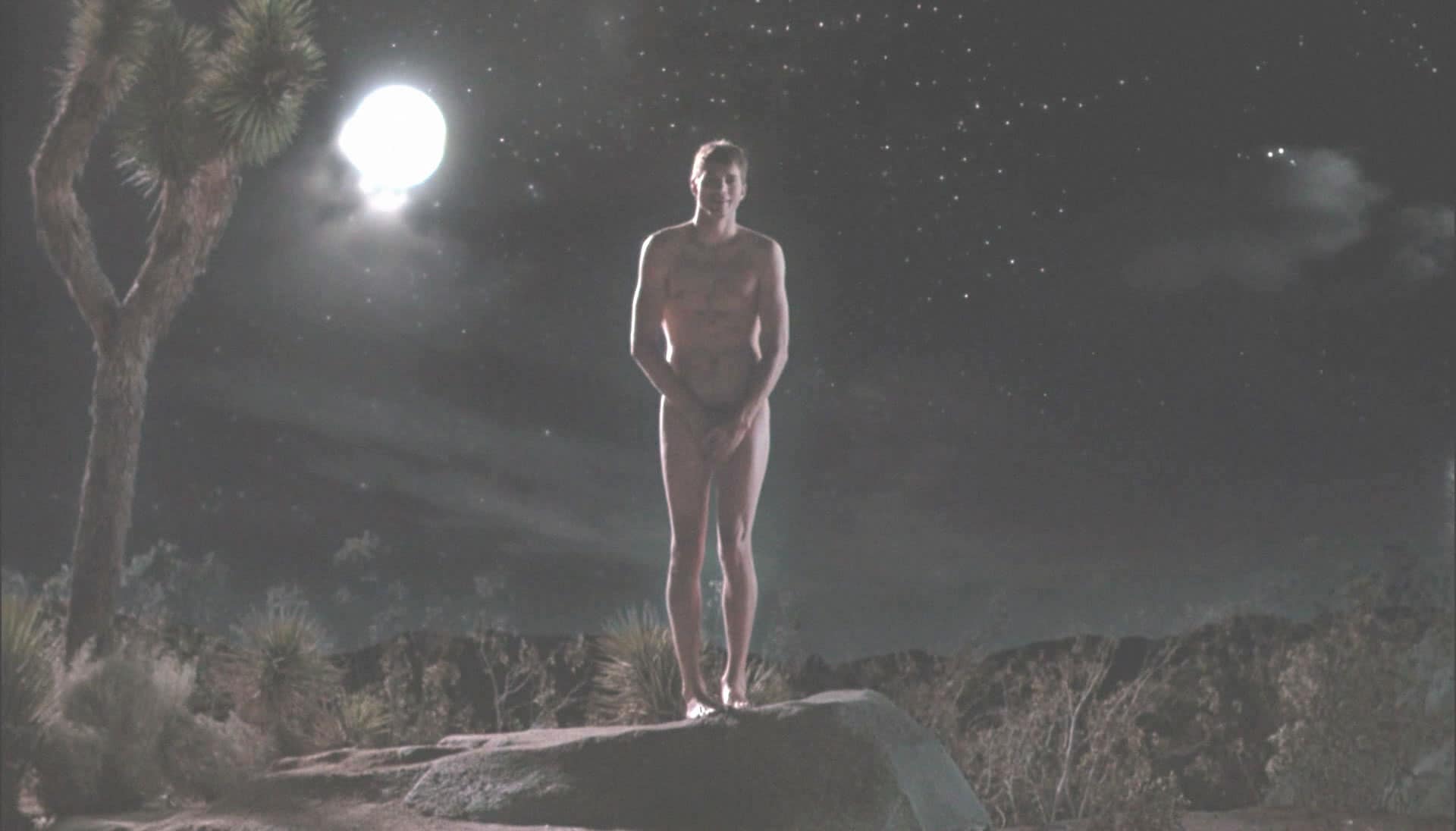 Ashton Kutcher nudes