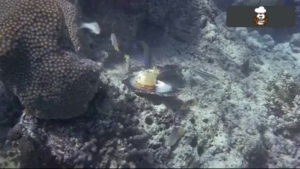 Christopher Atkins Nude – UNSEEN COLLECTION! • Leaked Meat