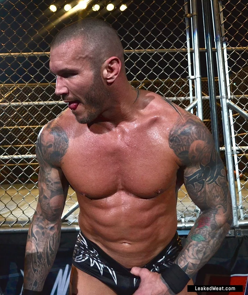 Randy Orton butt