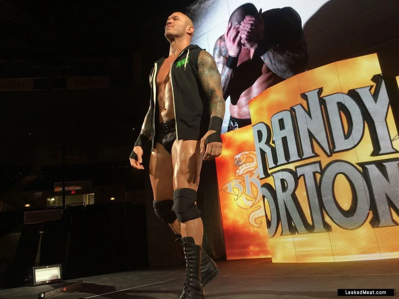 Randy Orton sexy