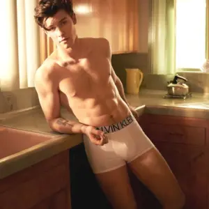 Oh, Snap! Shawn Mendes Naked Leaks Are Damn Sexy!
