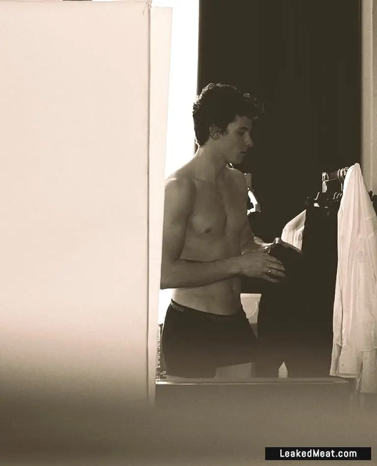 Shawn Mendes underwear