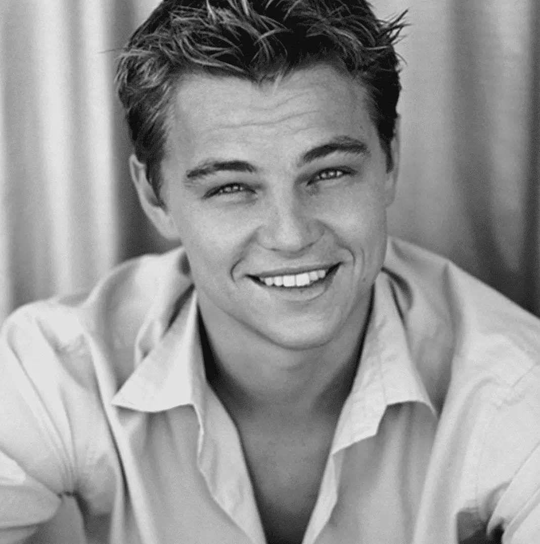 Leonardo DiCaprio gay