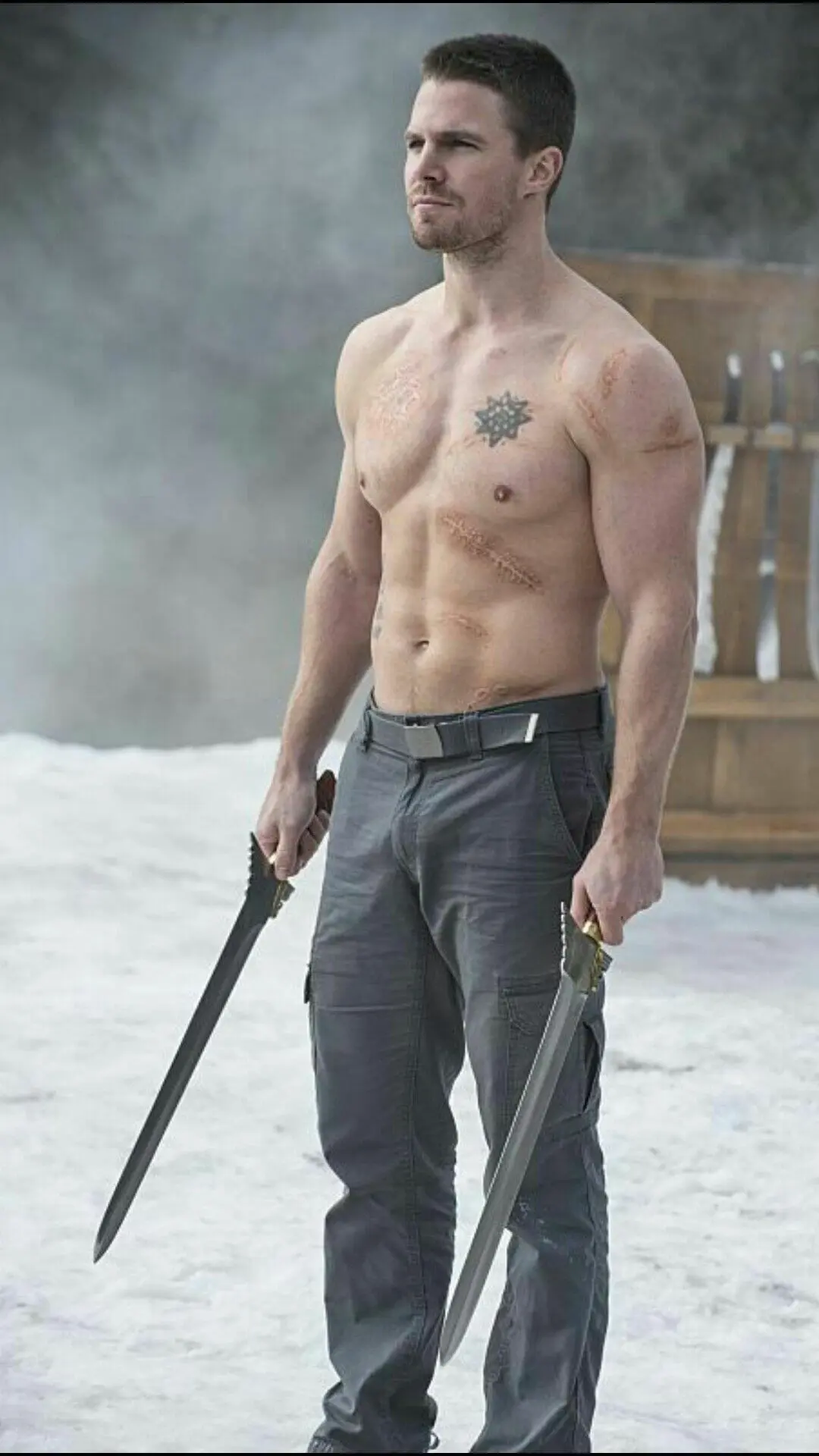 Stephen Amell shirtless pic and muscles