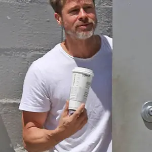 Brad Pitt gray beard paparazzi