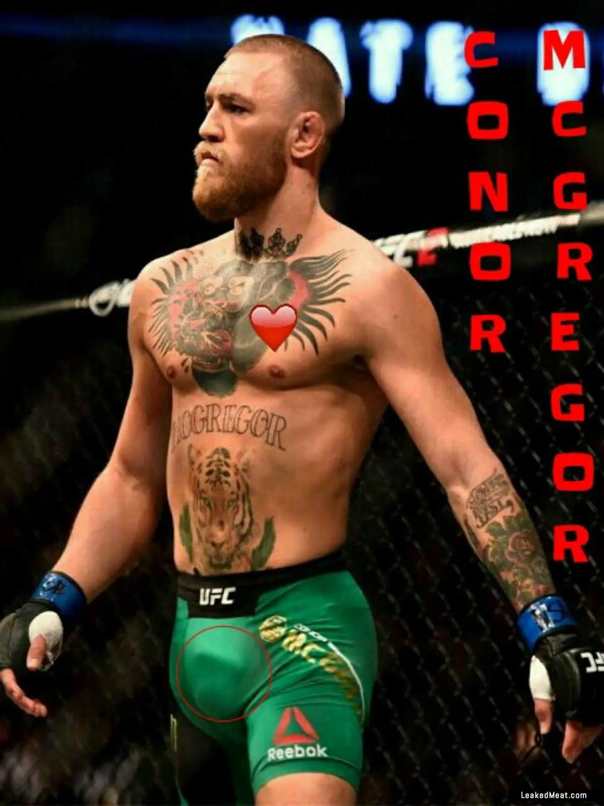 Conor McGregor Cock Bulge.