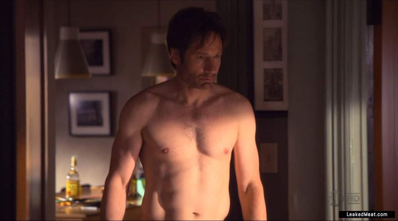 david duchovny showing dick