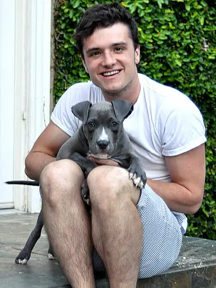 Josh Hutcherson puppy