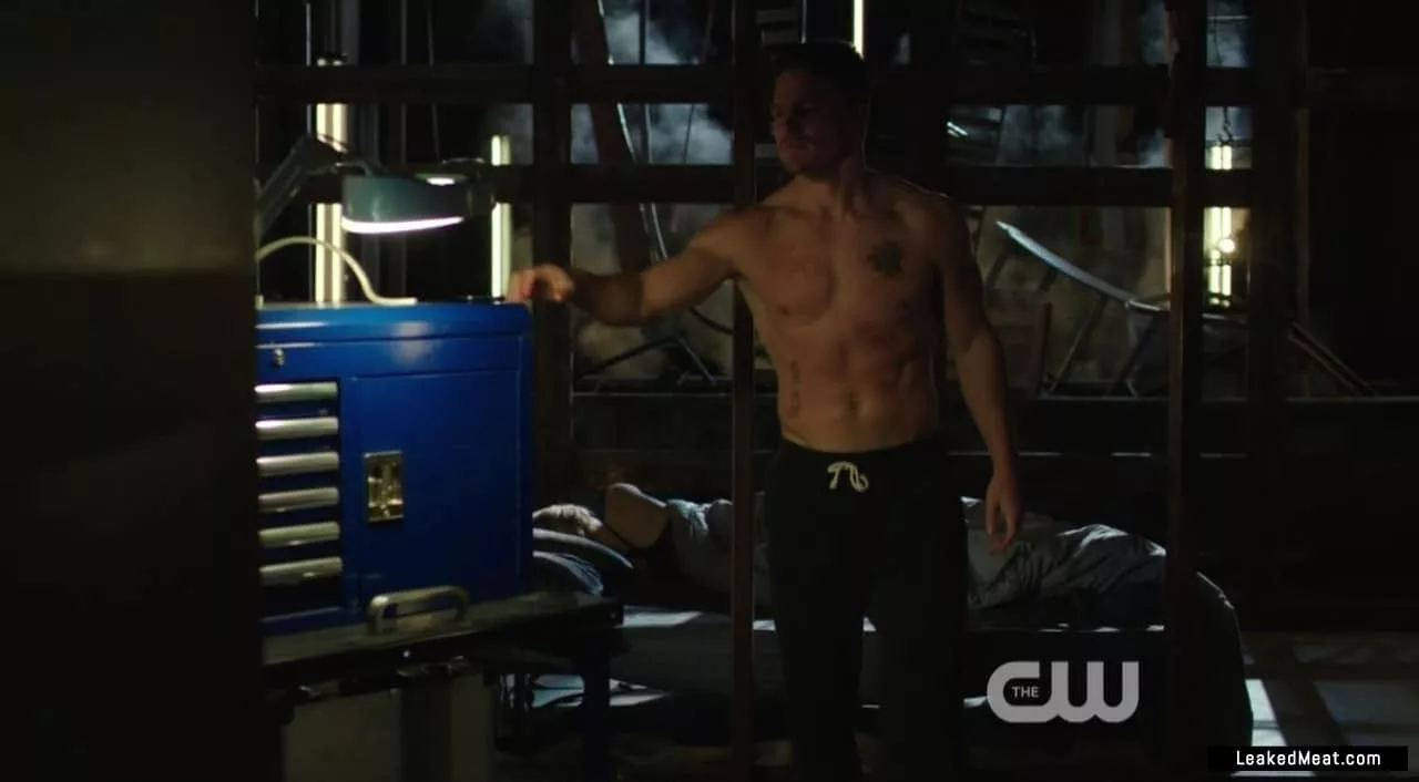 Stephen Amell big muscles