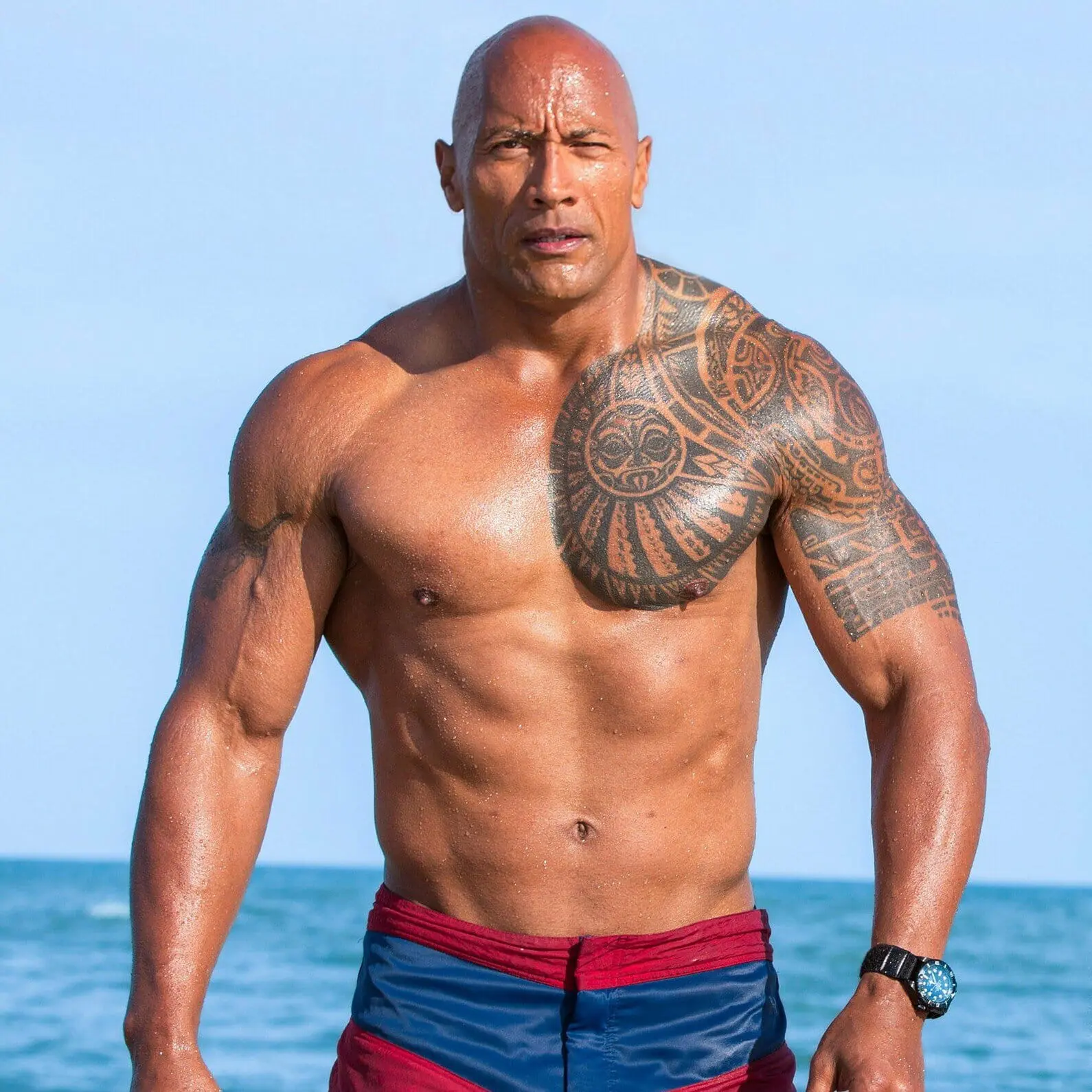 The Rock gay porn