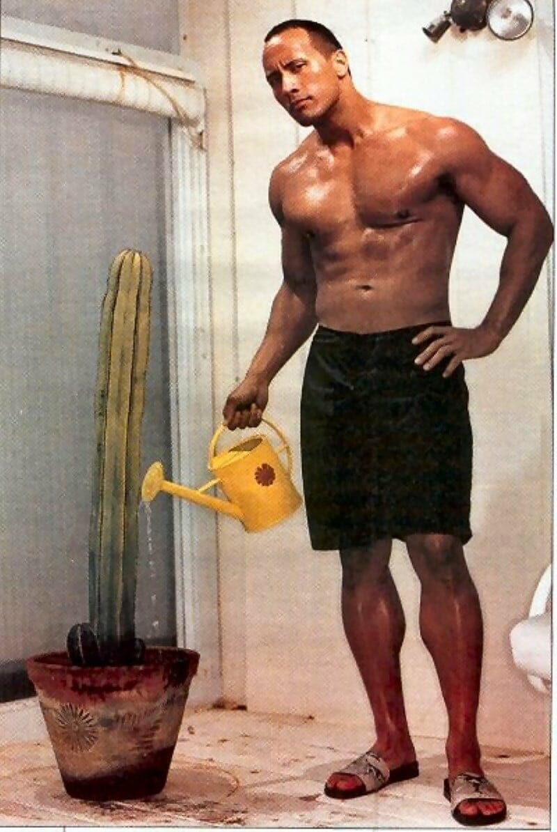 The Rock watering a cactus