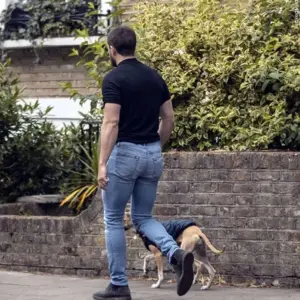 Kit Harington tight jeans walking his doggy