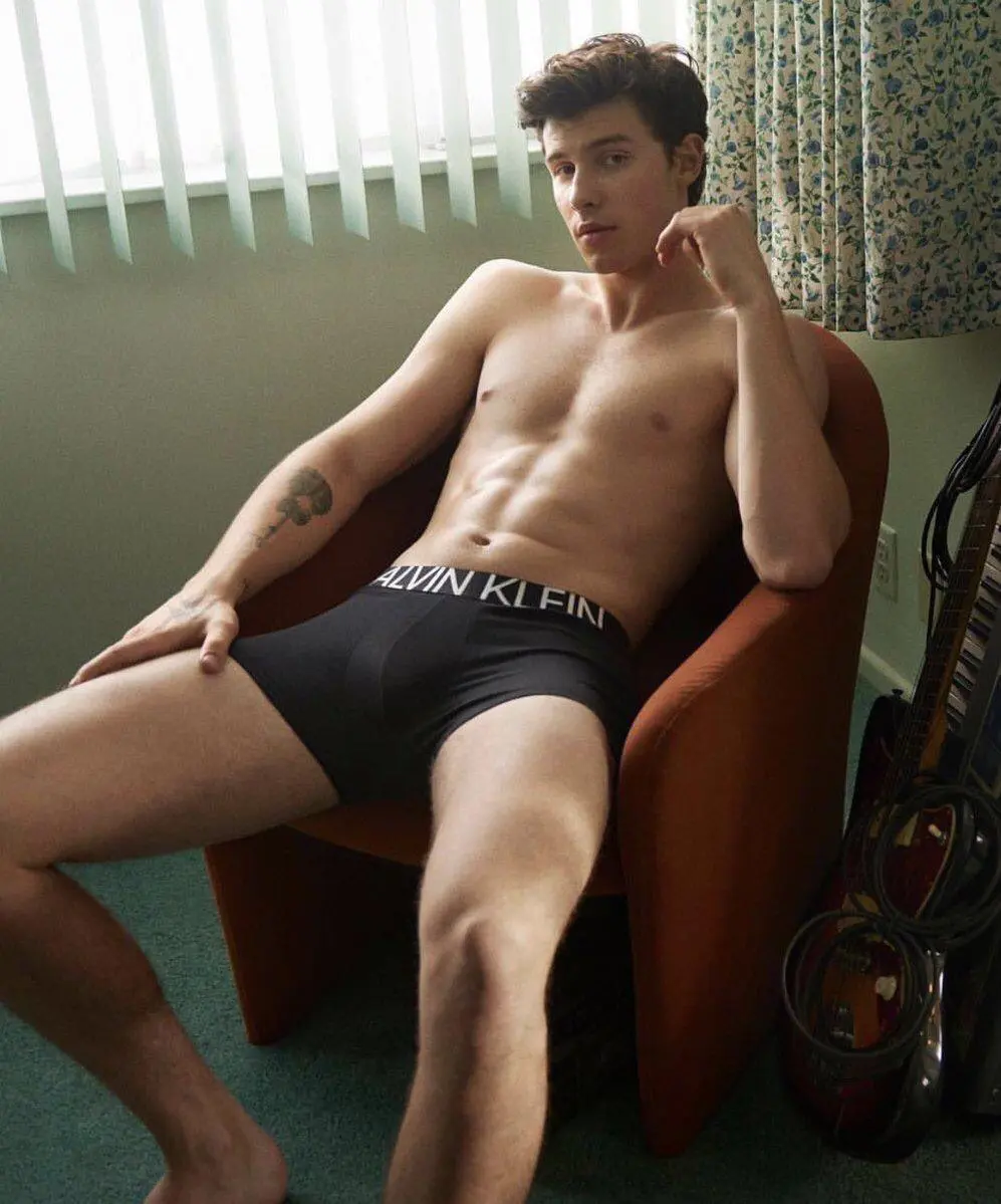 Shawn Mendes bulge sticking out