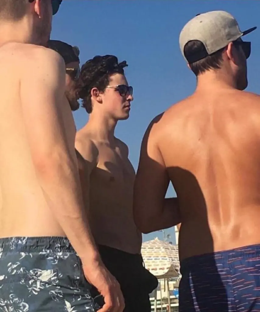 Shawn Mendes dick bulge in shorts
