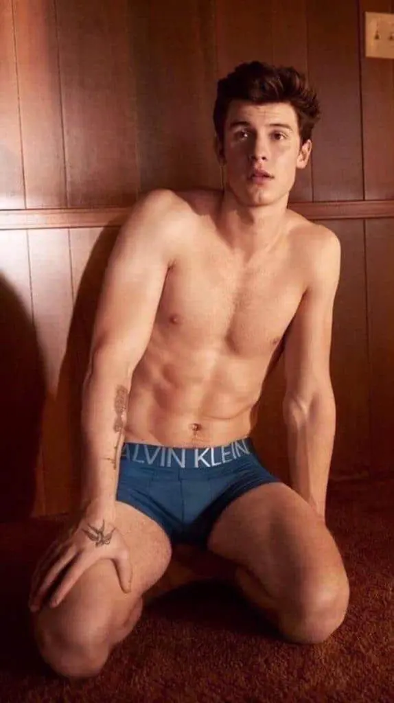 Shawn Mendes in Underwear