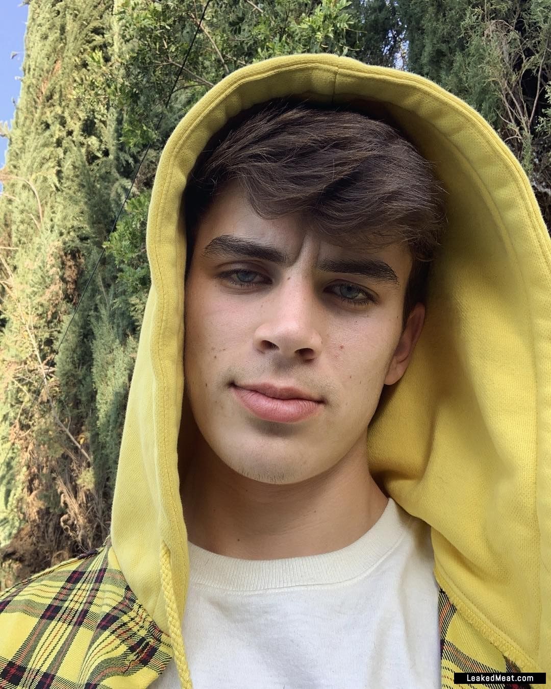 Hayes Grier hunk