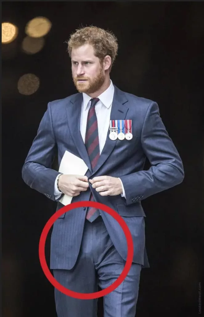 Prince Harry penis bulge in suit