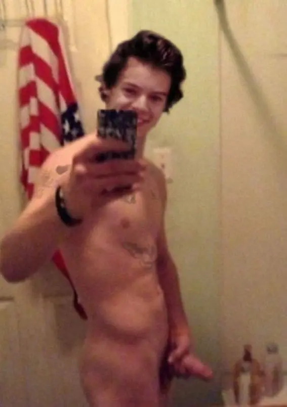Harry Styles penis selfie