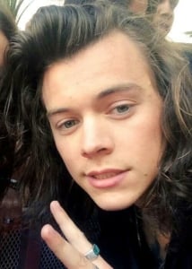 Harry Styles Nude Pics & NSFW Videos! ( Leaked ) • Leaked Meat