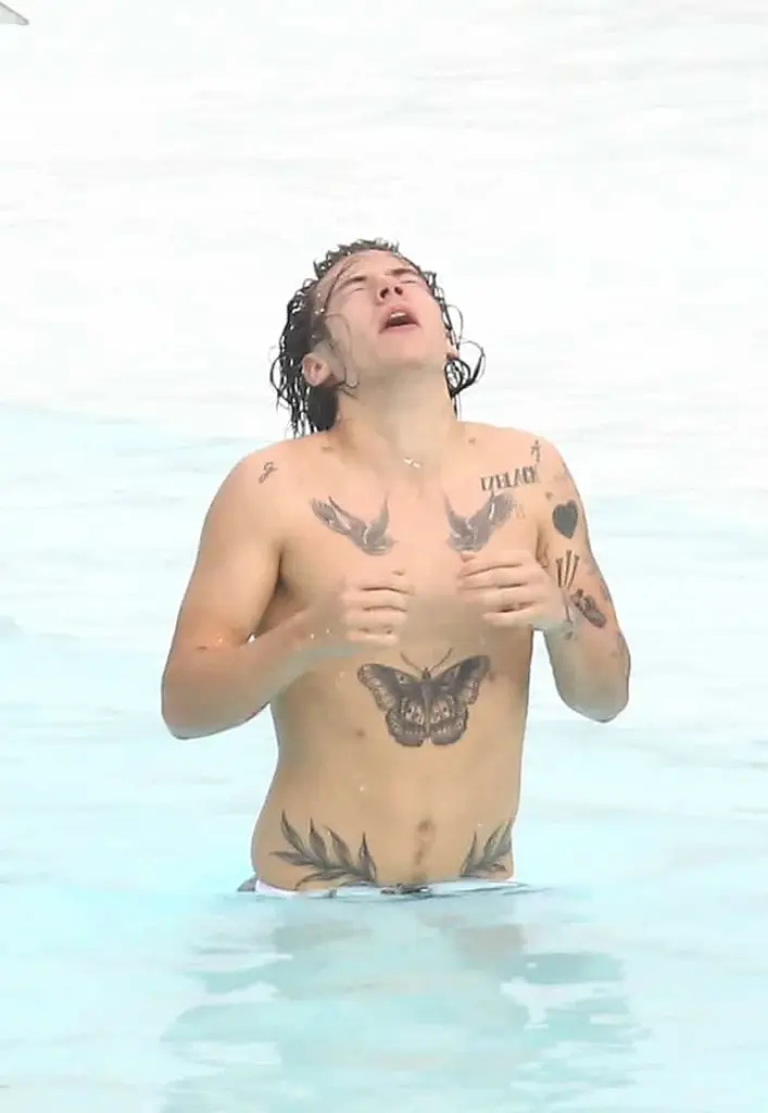 Harry Styles shirtless in Brazil
