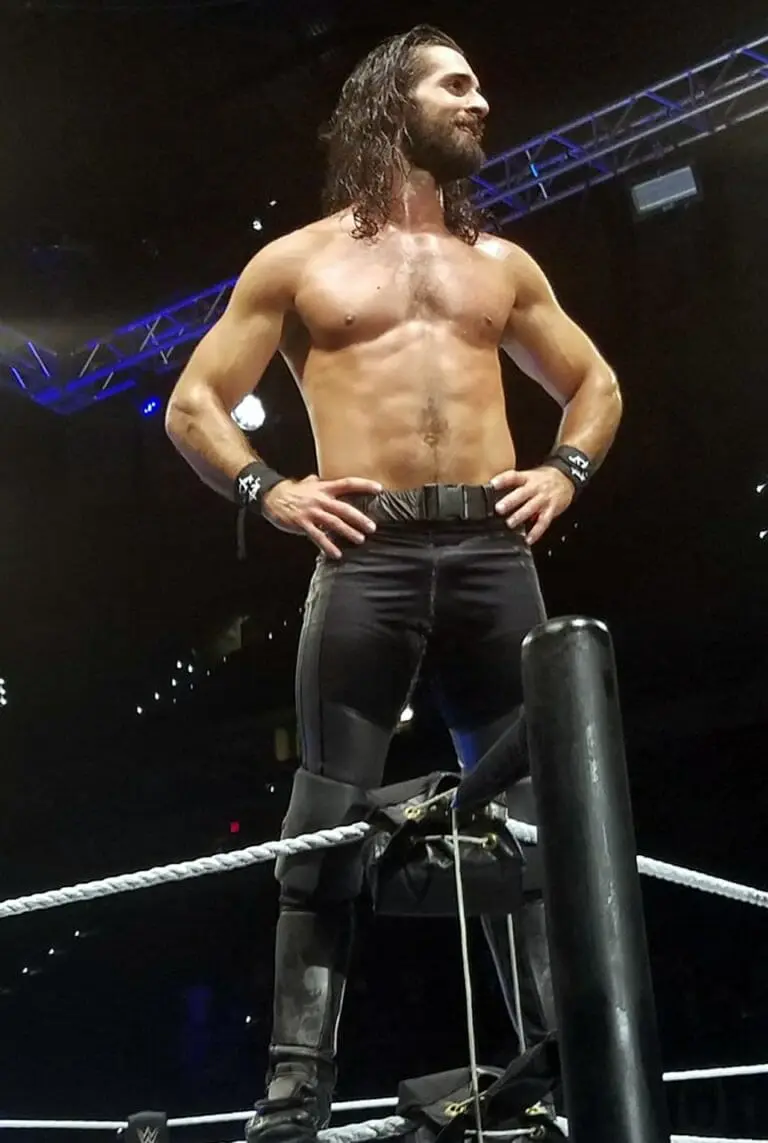 Seth Rollins Nude Leaks & HARD Dick Pics • Leaked Meat