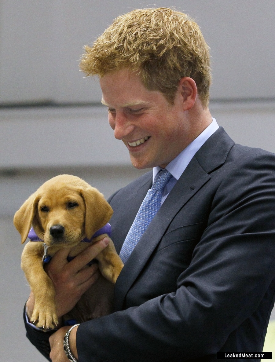 Prince Harry and his dog