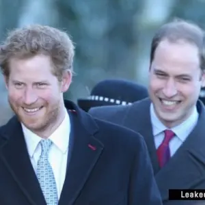 Prince Harry and royal brother