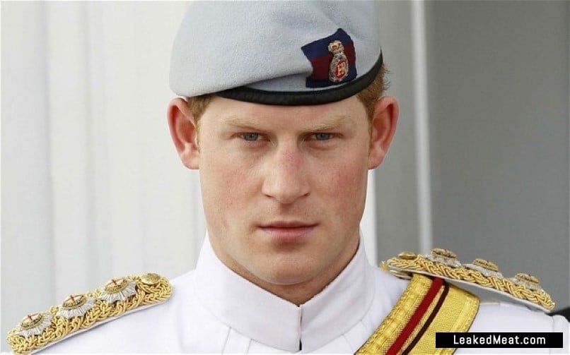 Prince Harry beret pic