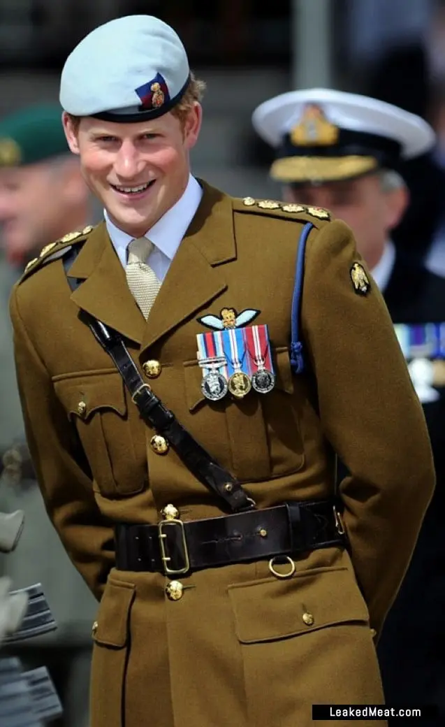 Prince Harry military picture