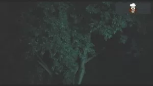 Timothée Chalamet Nude Pics & Uncensored (18+) Scenes! • Leaked Meat