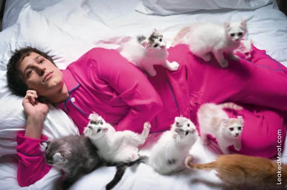 Andy Samberg kitties| LeakedMeat 1