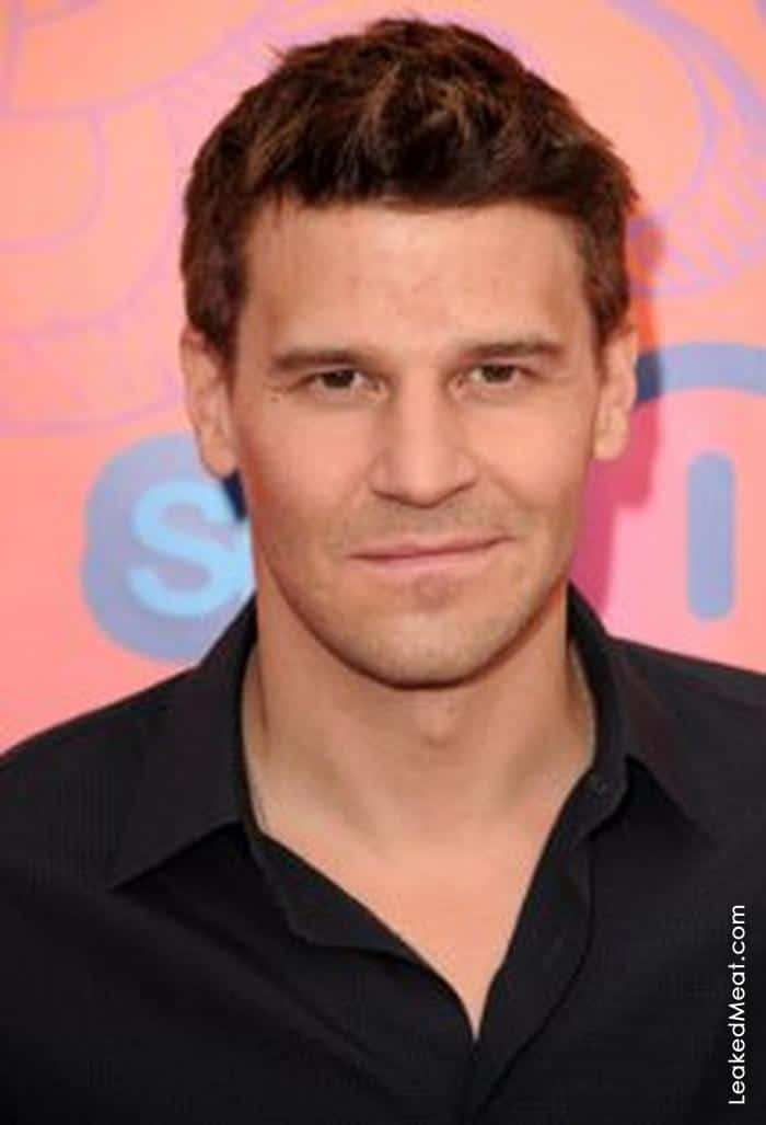 David Boreanaz | LeakedMeat 31