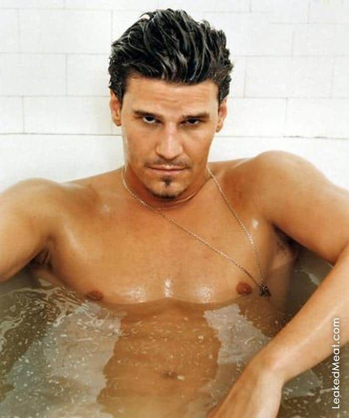 David Boreanaz | LeakedMeat 50