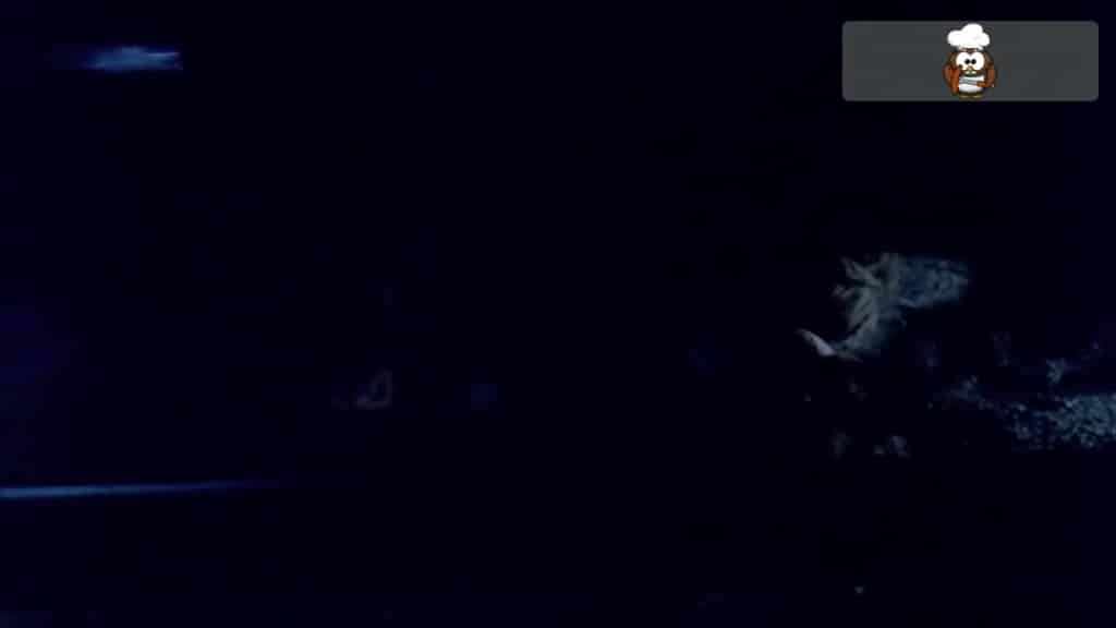 Ewan McGregor Nude — Penis Scenes & Full Frontal Nudity