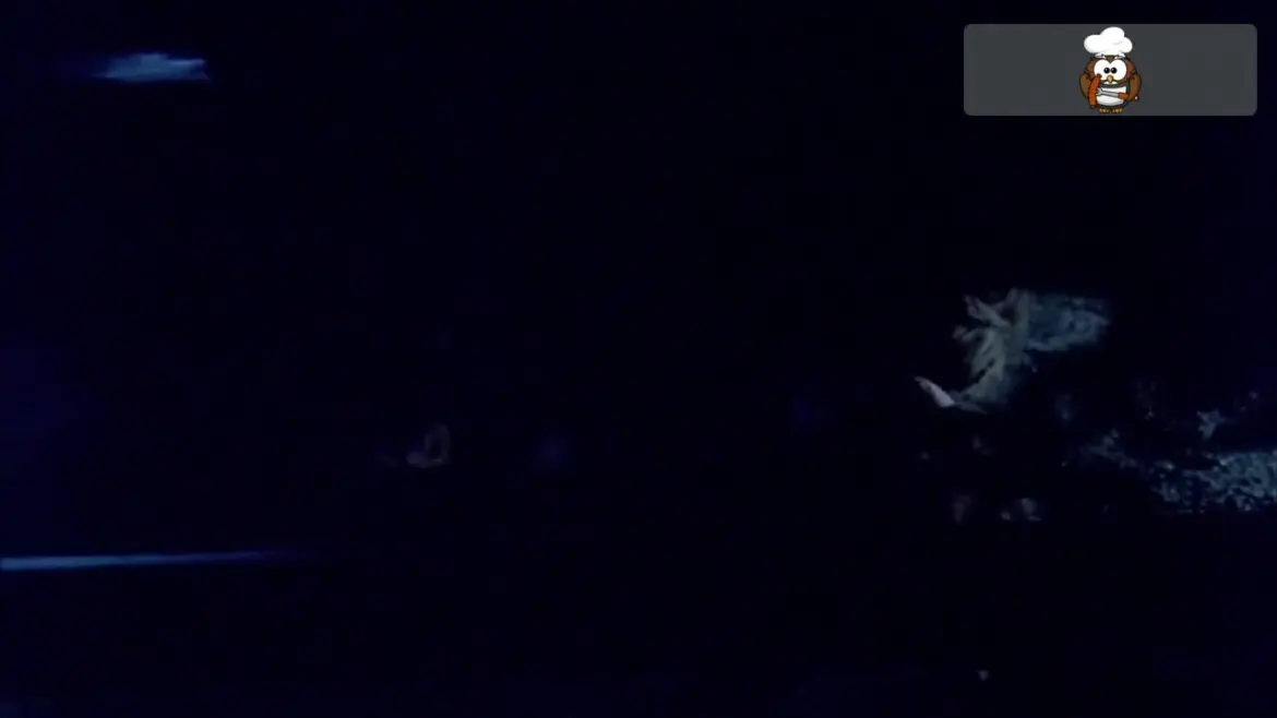 Ewan McGregor Nude — Penis Scenes & Full Frontal Nudity